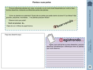 Ciências-7.ºAno
3.ºBIMESTRE/2013
Plantas e suas partes
Agora, que você já fez os seus desenhos, procure
descrever semelhanças e diferenças entre as plantas
que você observou.
___________________________________________
___________________________________________
___________________________________________
___________________________________________
___________________________________________
___________________________________________
___________________________________________
___________________________________________
___________________________________________
Procure diferentes plantas (em casa, na escola, ou em outro local frequentado por você) e faça
bonitos desenhos, indicando as diferentes partes das plantas.
Como as plantas se sustentam? Quais são as partes que estão dentro da terra? E as folhas? São
grandes, pequenas, recortadas... ? As plantas possuem flores?
Observe tudo que puder!
Você vai precisar de...
lápis de cor e folhas de papel branco.
Faça seu desenho aqui:
20
 