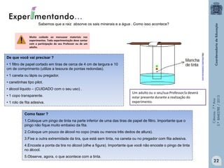 Ciências-7.ºAno
3.ºBIMESTRE/2013
http://educador.brasilescola.com/
Sabemos que a raiz absorve os sais minerais e a água . Como isso acontece?
De que você vai precisar ?
• 1 filtro de papel cortado em tiras de cerca de 4 cm de largura e 10
cm de comprimento (utilize a tesoura de pontas redondas).
• 1 caneta ou lápis ou pregador.
• canetinhas tipo pilot.
• álcool líquido – (CUIDADO com o seu uso) .
• 1 copo transparente.
• 1 rolo de fita adesiva.
Como fazer ?
1.Coloque um pingo de tinta na parte inferior de uma das tiras de papel de filtro. Importante que o
pingo não fique muito embaixo da fita.
2.Coloque um pouco de álcool no copo (mais ou menos três dedos de altura).
3.Fixe a outra extremidade da tira, que está sem tinta, na caneta ou no pregador com fita adesiva.
4.Encoste a ponta da tira no álcool (olhe a figura). Importante que você não encoste o pingo de tinta
no álcool.
5.Observe, agora, o que acontece com a tinta.
22
Muito cuidado ao manusear materiais nos
experimentos. Toda experimentação deve contar
com a participação do seu Professor ou de um
adulto.
Um adulto ou o seu/sua Professor/a deverá
estar presente durante a realização do
experimento.
 