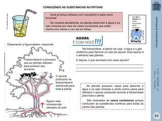 Ciências-7.ºAno
3.ºBIMESTRE/2013
http://www.halfbakery.com
Você já tomou refresco com canudinho e sabe como
funciona!
De maneira semelhante, as plantas absorvem a água e os
sais minerais por meio de vasos condutores que estão
distribuídos desde a raiz até as folhas.
Na fotossíntese, a planta vai usar a água e o gás
carbônico para fabricar um tipo de açúcar. Este açúcar é
o alimento das plantas.
E depois, o que acontece com esse açúcar?
_____________________________________________
_____________________________________________
_____________________________________________
As plantas possuem vasos para absorver a
água e os sais minerais e ainda outros vasos para
distribuir o açúcar produzido durante a fotossíntese
para toda a planta.
São chamados de vasos condutores porque
conduzem as substâncias nutritivas para todas as
partes das plantas.
AGORA,
É COM VOCÊ!!!
24
CONDUZINDO AS SUBSTÂNCIAS NUTRITIVAS
 