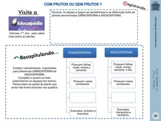 Ciências-7.ºAno
3.ºBIMESTRE/2013
Ciências 7.º ano para saber
mais sobre as plantas.
Escreva, no espaço a seguir as semelhanças e as diferenças entre as
plantas denominadas GIMNOSPERMA e ANGIOSPERMA.
30
GIMNOSPERMA
Possuem folhas,
caule, raízes e
semente.
Possuem vasos
condutores.
Exemplos: pinheiro e
araucária.
ANGIOSPERMA
Possuem folhas,
caule, raízes,
semente e flor.
Possuem vasos
condutores.
Exemplos:
mangueira e
laranjeira.
Recapitulando...
Existem características importantes
para diferenciar GIMNOSPERMA de
ANGIOSPERMA.
Complete o quadro ao lado,
preenchendo os espaços em branco.
Pense sobre as partes da planta que
ainda não foram incluídas nos quadros.
 