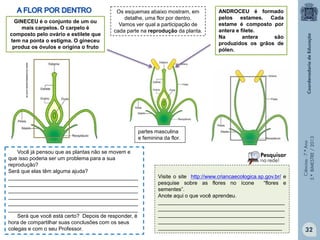 Ciências-7.ºAno
3.ºBIMESTRE/2013
GINECEU é o conjunto de um ou
mais carpelos. O carpelo é
composto pelo ovário e estilete que
tem na ponta o estigma. O gineceu
produz os óvulos e origina o fruto
ANDROCEU é formado
pelos estames. Cada
estame é composto por
antera e filete.
Na antera são
produzidos os grãos de
pólen.
Os esquemas abaixo mostram, em
detalhe, uma flor por dentro.
Vamos ver qual a participação de
cada parte na reprodução da planta.
www.mundoeducacao.com.br
partes masculina
e feminina da flor.
Visite o site http://www.criancaecologica.sp.gov.br/ e
pesquise sobre as flores no ícone “flores e
sementes”.
Anote aqui o que você aprendeu.
___________________________________________
___________________________________________
___________________________________________
___________________________________________
__________________________________________
Você já pensou que as plantas não se movem e
que isso poderia ser um problema para a sua
reprodução?
Será que elas têm alguma ajuda?
____________________________________________
____________________________________________
____________________________________________
____________________________________________
____________________________________________
____________________________________________
Será que você está certo? Depois de responder, é
hora de compartilhar suas conclusões com os seus
colegas e com o seu Professor. 32
 