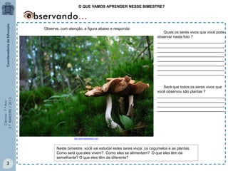 Ciências-7.ºAno
3.ºBIMESTRE/2013
Observe, com atenção, a figura abaixo e responda:
Quais os seres vivos que você pode
observar nesta foto ?
________________________________
________________________________
________________________________
________________________________
________________________________
________________________________
________________________________
________________________________
Será que todos os seres vivos que
você observou são plantas ?
________________________________
________________________________
________________________________
________________________________
Neste bimestre, você vai estudar estes seres vivos: os cogumelos e as plantas.
Como será que eles vivem? Como eles se alimentam? O que eles têm de
semelhante? O que eles têm de diferente?
3
O QUE VAMOS APRENDER NESSE BIMESTRE?
http://www.wallpaperpin.com
 