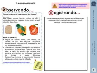 Ciências-7.ºAno
3.ºBIMESTRE/2013
Utilize esse espaço para registrar a sua observação.
Desenhe como os alimentos ficaram após uma
semana. Lembre-se das cores!
Vamos observar o crescimento dos fungos?
MATERIAL: tomate, laranja, pedaço de pão, 3
vidros de maionese (vazios e limpos e com tampa),
algodão, água, lupa.
PROCEDIMENTO:
• Pegue um tomate inteiro, uma laranja, um
pedaço de pão. Em seguida, coloque-os,
separadamente, em vidros de maionese ou em
um recipiente parecido.
• Coloque um chumaço de algodão molhado com
água dentro de cada pote. Observe, com uma
lupa, a partir do terceiro dia, durante uma
semana. Você poderá ver os fungos crescendo
de formas e cores diferentes.
Cuidado! Ao terminar o experimento, descarte
adequadamente o material utilizado.
http://www.invivo.fiocruz.br/cgi/cgilua.exe/sys/start.htm?infoid=104&sid=2
veja.abril.com.br
revistagloborural.globo.com
www.virtualsaude.com.br O MUNDO DOS FUNGOS
6
Muito cuidado ao manusear materiais nos experimentos.
Toda experimentação deve contar com a participação
do seu Professor ou de um adulto.
 