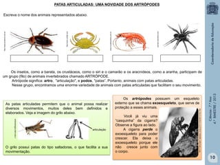 PATAS ARTICULADAS: UMA NOVIDADE DOS ARTRÓPODES

animais.culturamix.com

www.muraldoantena.com.br

http://www.varbak.com

http://www.jornallivre.com.brr

Escreva o nome dos animais representados abaixo.

entomologia.ufam.edu.r

articulação

O grilo possui patas do tipo saltadoras, o que facilita a sua
movimentação.

Você já viu uma
“casquinha” da cigarra?
Observe a figura ao lado.
A cigarra perde o
exoesqueleto para poder
crescer. Ela deixa o
exoesqueleto porque ele
não cresce junto com
o corpo.

http://farm3.staticflickr.com/2725/4115950868_0affe31ebb_m.jpg

As patas articuladas permitem que o animal possa realizar
diversos movimentos, muitos deles bem definidos e
elaborados. Veja a imagem do grilo abaixo.

Os artrópodes possuem um esqueleto
externo que se chama exoesqueleto, que serve de
proteção a esses animais.

Ciências - 7.º Ano
4.º BIMESTRE / 2013

Os insetos, como a barata, os crustáceos, como o siri e o camarão e os aracnídeos, como a aranha, participam de
um grupo (filo) de animais invertebrados chamado ARTRÓPODE.
Artrópode significa: artro, "articulação", e podos, "patas”. Portanto, animais com patas articuladas.
Nesse grupo, encontramos uma enorme variedade de animais com patas articuladas que facilitam o seu movimento.

10

 