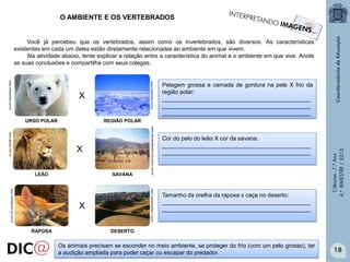 O AMBIENTE E OS VERTEBRADOS

Você já percebeu que os vertebrados, assim como os invertebrados, são diversos. As características
existentes em cada um deles estão diretamente relacionadas ao ambiente em que vivem.
Na atividade abaixo, tente explicar a relação entre a característica do animal e o ambiente em que vive. Anote
as suas conclusões e compartilhe com seus colegas.

www.ruadireita.com,br

URSO POLAR

REGIÃO POLAR

LEÃO

SAVANA

www.missaosaleluz.org.br

www.canalazultv.ig.com.br

X
RAPOSA

www.meioambiente.culturamix.com.br

www.gebs2.com.br

X

Cor do pelo do leão X cor da savana:
______________________________________________
______________________________________________

Tamanho da orelha da raposa x caça no deserto:
______________________________________________
______________________________________________

Ciências - 7.º Ano
4.º BIMESTRE / 2013

www.infoescola.com.br

X

Pelagem grossa e camada de gordura na pele X frio da
região polar:
______________________________________________
______________________________________________
______________________________________________

DESERTO

Os animais precisam se esconder no meio ambiente, se proteger do frio (com um pelo grosso), ter
a audição ampliada para poder caçar ou escapar do predador.

18

 