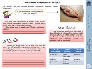 VERTEBRADOS: HABITAT E RESPIRAÇÃO

O que aconteceria com um peixe que
ficasse fora d’água?

Você está certo. Ele morreria. O mesmo ocorre quando
uma pessoa permanece debaixo d’água, durante muito
tempo, sem os equipamentos adequados.
Mas, afinal, o que os leva à morte? Registre aqui a sua
hipótese!
_________________________________________________
_________________________________________________

Imagine um animal que vive na água, mas que não
respira por brânquias. Ele respira como nós, ou seja, possui
respiração pulmonar. Como ele fará para manter sua
respiração? Você conhece algum animal que faz isso?
_________________________________________________
_________________________________________________
_________________________________________________
_________________________________________________
_________________________________________________
_________________________________________________
_________________________________________________
_________________________________________________

Nos ambientes aquáticos e terrestres, a
disponibilidade do gás oxigênio é diferenciada.
Com isso, a forma de obtê-lo também deve ser!
Por essa razão, os animais desenvolveram
estratégias para conseguir respirar nos
diferentes tipos de ambientes.

TIPO DE
RESPIRAÇÃO

COMO
OCORRE

TIPO DE
HÁBITAT

branquial

pelas
brânquias

aquático

cutânea

pela pele

terrestre

pulmonar

pelos
pulmões

Ciências - 7.º Ano
4.º BIMESTRE / 2013

www.infoescola.com.br

Os animais, em seus variados habitats, apresentam diferentes formas
de respiração.

terrestre

20

 