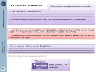CADA SER VIVO TEM SEU LUGAR

1- Seu colega pegou mais joaninhas verdes ou vermelhas ?
_________________________________________________

2- Você sabe explicar a razão do resultado?
_______________________________________________________________________________________________
_______________________________________________________________________________________________
3- Se o fundo da folha grande fosse vermelho, qual a joaninha que seu colega pegaria com mais facilidade?
_______________________________________________________________________________________________
_______________________________________________________________________________________________

Já sabemos que, na natureza, cada ser vivo está adaptado ao ambiente em que vive. O ser vivo que não está
adaptado pode desaparecer para sempre. Lembre-se do exemplo do predador e das joaninhas.

Ciências - 7.º Ano
4.º BIMESTRE / 2013

O ambiente é que vai selecionar os seres vivos mais adaptados. Essa é a Seleção Natural, que foi estudada por
Charles Darwin (1809 –1882) .

4- Escreva aqui o que você entendeu sobre Seleção Natural.
________________________________________________________________________________________________
________________________________________________________________________________________________
________________________________________________________________________________________________
Glossário: predador- animal que caça para conseguir alimento.

23

Aula 29 - Ciências – 7.º ano e
conheça Charles Darwin e a
Seleção Natural

 