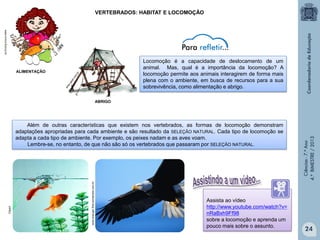 VERTEBRADOS: HABITAT E LOCOMOÇÃO

www.invivo.fiocruz.br

Locomoção é a capacidade de deslocamento de um
animal. Mas, qual é a importância da locomoção? A
locomoção permite aos animais interagirem de forma mais
plena com o ambiente, em busca de recursos para a sua
sobrevivência, como alimentação e abrigo.

ALIMENTAÇÃO

www.anauger.files.wordpress.com.br

Clipart

Além de outras características que existem nos vertebrados, as formas de locomoção demonstram
adaptações apropriadas para cada ambiente e são resultado da SELEÇÃO NATURAL. Cada tipo de locomoção se
adapta a cada tipo de ambiente. Por exemplo, os peixes nadam e as aves voam.
Lembre-se, no entanto, de que não são só os vertebrados que passaram por SELEÇÃO NATURAL.

Assista ao vídeo
http://www.youtube.com/watch?v=
nRaBxh9Ff98
sobre a locomoção e aprenda um
pouco mais sobre o assunto.

Ciências - 7.º Ano
4.º BIMESTRE / 2013

ABRIGO

24

 