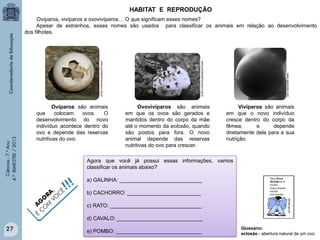 HABITAT E REPRODUÇÃO
Ovíparos, vivíparos e ovovivíparos… O que significam esses nomes?
Apesar de estranhos, esses nomes são usados para classificar os animais em relação ao desenvolvimento
dos filhotes.

Ciências - 7.º Ano
4.º BIMESTRE / 2013

www.agravidez.com

Ovovivíparos são animais
em que os ovos são gerados e
mantidos dentro do corpo da mãe
até o momento da eclosão, quando
são postos para fora. O novo
animal depende das reservas
nutritivas do ovo para crescer.

Vivíparos são animais
em que o novo indivíduo
cresce dentro do corpo da
fêmea,
e
depende
diretamente dela para a sua
nutrição.

Agora que você já possui essas informações, vamos
classificar os animais abaixo?

!!!
CÊ

,
RA O
O
G MV
A O
C
É

27

www.portalsaofrancisco.org.br

www.portalsaofrancisco.org.br

Ovíparos são animais
que
colocam
ovos.
O
desenvolvimento do novo
indivíduo acontece dentro do
ovo e depende das reservas
nutritivas do ovo.

a) GALINHA: ____________________________
b) CACHORRO: _________________________
c) RATO: _______________________________
d) CAVALO: _____________________________
e) POMBO: _____________________________

Glossário:
eclosão - abertura natural de um ovo.

 