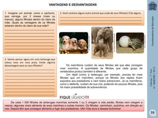 VANTAGENS E DESVANTAGENS

Ciências - 7.º Ano
4.º BIMESTRE / 2013

Os mamíferos cuidam de seus filhotes até que eles consigam
viver sozinhos. A quantidade de filhotes que cada grupo de
vertebrados produz também é diferente.
Um réptil (como a tartaruga), por exemplo, precisa ter mais
filhotes que um mamífero, porque os filhotes dos répteis ficam
expostos aos predadores e nem todos sobrevivem. Já os mamíferos,
como o elefante, cuidam da sua cria, podendo ter poucos filhotes, pois
há maior possibilidade de sobrevivência.

entretenimento.r7.com

colunas.revistaepoca.globo.com

3. Vamos pensar agora em uma tartaruga que
coloca ovos em uma praia. Existe alguma
desvantagem para os seus filhotes?
______________________________________
______________________________________
______________________________________
______________________________________
______________________________________
______________________________________
______________________________________
______________________________________
______________________________________

2. Você conhece algum outro animal que cuida de seus filhotes? Cite alguns.
______________________________________________________________
______________________________________________________________
______________________________________________________________

www.minhasimagens.net

1. Imagine um animal, como o cachorro,
que carrega, por 2 meses (mais ou
menos), alguns filhotes dentro do útero da
mãe. Quais as vantagens de os filhotes
estarem dentro do útero de sua mãe?
__________________________________
__________________________________
__________________________________
__________________________________
__________________________________
__________________________________
__________________________________
__________________________________

De cada 1 000 filhotes de tartarugas marinhas somente 1 ou 2 chegam à vida adulta. Muitas nem chegam a
nascer, algumas viram alimento de aves marinhas e outras morrem. Os filhotes caminham, sozinhos, em direção ao
mar. Depois têm que conseguir alimento e fugir dos predadores. Ufa! Vida dura a desses bichinhos!

28

 