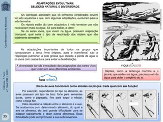 ADAPTAÇÕES EVOLUTIVAS:
SELEÇÃO NATURAL E DIVERSIDADE
noticias-alternativas.blogspot.com

Os cientistas acreditam que os primeiros vertebrados devem
ter sido aquáticos e que, com algumas adaptações, evoluíram para a
vida terrestre.
Os répteis estão tão bem adaptados à vida terrestre que não
necessitam mais da água. Só para beber, é claro!
Se os seres vivos, que vivem na água, possuem respiração
branquial, qual seria o tipo de respiração dos répteis que são
totalmente terrestres ?
_______________________________________________________

Ciências - 7.º Ano
4.º BIMESTRE / 2013

As adaptações importantes de todos os grupos que
conquistaram a terra firme (répteis, aves e mamíferos) são a
respiração pulmonar, a pele grossa que impede a perda de água e
os ovos com casca dura para evitar a desidratação.

Répteis, como a tartaruga marinha e o
jacaré, que nadam na água, precisam sair da
água para obter o oxigênio do ar.

Bicos de aves funcionam como alicates ou pinças. Cada qual com sua função!
Por exemplo: dependendo do tipo de alimento, as
aves possuem um tipo de bico: forte para sementes
duras, como o papagaio, fino para sugar o néctar,
como o beija-flor.
Cabe destacar a relação entre o alimento e a ave.
Se acabarmos com determinado alimento, do qual a
ave se alimenta, ela terá grande dificuldade para se
adaptar rapidamente e obter outros alimentos. Essa
dificuldade pode comprometer a sua sobrevivência.

www.auladecienciasdanatureza.com

35

A diversidade da vida é resultado das adaptações dos seres vivos
que vivem em seus diferentes ambientes.

 