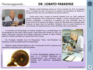 Homenageando...

DR. LOBATO PARAENSE
Wladimir Lobato Paraense nasceu em 16 de novembro de 1914, em Igarapémirim, no Estado do Pará. Formou-se em medicina nas faculdades de Medicina e
Cirurgia do Pará (1931-34) e de Medicina de Recife (1936-37).

www.fiocruz.br

Lobato entrou para o quadro do Instituto Oswaldo Cruz, em 1939, realizando
estudos inicialmente sobre leishmaniose, malária e outras protozoonoses. Foi o
primeiro investigador a comprovar a existência de uma importante fase do
desenvolvimento do parasito da malária. A partir de 1954 dedica-se à pesquisa sobre
moluscos de água doce do hemisfério Ocidental, entre os quais incluem-se os
transmissores da esquistossomose, tendo identificado dez novas espécies.

Na Fundação Oswaldo Cruz foi Pesquisador Titular, Vice-Presidente de
Pesquisas e chefe do Departamento de Malacologia.
www1.folha.uol.com.br

Wladimir Lobato Paraense faleceu no dia 11 de fevereiro de 2012, deixando uma
importante contribuição para a ciência brasileira.

Ciências - 7.º Ano
4.º BIMESTRE / 2013

Foi professor de Protozoologia no Instituto Oswaldo Cruz e de Malacologia nas
Universidades de São Paulo, Minas Gerais, Santa Maria (Rio Grande do Sul), Los
Andes (Venezuela), Nacional del Nordeste (Argentina), Escuela de Salud Pública
(México) e Instituto de Medicina Tropical Pedro Kourí (Cuba).

http://www.functionalglycomics.org

O molusco Biomphalaria glabrata (foto ao
lado) é o principal transmissor da
esquistossomose, uma verminose grave
causada pelo platelminto Schistosoma
mansoni.

Fonte: www.friocruz.br (adaptado)

38

 