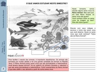 O QUE VAMOS ESTUDAR NESTE BIMESTRE?
http://www.grupoescolar.com/img-conteudo/reino_animal.jpg

Ciências - 7.º Ano
4.º BIMESTRE / 2013

Neste
bimestre,
vamos
estudar alguns seres vivos do
Reino Animal. Mas será que,
em todo Reino Animal, os
seres vivos são iguais?
Você conhece todos os seres
vivos da imagem ao lado?
Eles são todos iguais?

3

Para facilitar o estudo dos animais, é importante classificá-los. Os animais são
formados por muitas células e há uma grande variedade de animais no Planeta
Terra. O Reino Animal possui seres vivos que são pluricelulares e heterotróficos.
Você lembra desses termos? Vá ao caderno do primeiro bimestre e relembre o
que são seres pluricelulares e heterotróficos. Outra característica do Reino Animal
é que eles obtêm o seu alimento a partir de outros seres vivos.

Discuta com seus colegas e
escreva o nome dos seres vivos
que você observa. Quais os seres
vivos que você conhece? Todos
são do Reino Animal?
____________________________
____________________________
____________________________
____________________________
____________________________
____________________________
____________________________
____________________________
____________________________
____________________________
____________________________
____________________________
____________________________
____________________________
____________________________
____________________________
____________________________

 