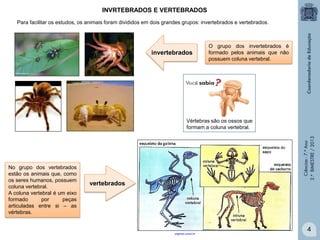 INVRTEBRADOS E VERTEBRADOS
Para facilitar os estudos, os animais foram divididos em dois grandes grupos: invertebrados e vertebrados.

invertebrados

O grupo dos invertebrados é
formado pelos animais que não
possuem coluna vertebral.

No grupo dos vertebrados
estão os animais que, como
os seres humanos, possuem
coluna vertebral.
A coluna vertebral é um eixo
formado
por
peças
articuladas entre si – as
vértebras.

Ciências - 7.º Ano
2.º BIMESTRE / 2013

Vértebras são os ossos que
formam a coluna vertebral.

vertebrados

paginas.unisul.br

4

 