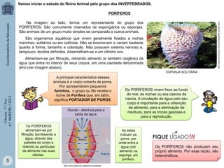 Vamos iniciar o estudo do Reino Animal pelo grupo dos INVERTEBRADOS.
PORÍFEROS
http://www.alunosonline.com.br/biologia/filo-porifera.html

Na imagem ao lado, temos um representante do grupo dos
PORÍFEROS. São comumente chamados de espongiários ou esponjas.
São animais de um grupo muito simples se comparado a outros animais.
São organismos aquáticos que vivem geralmente fixados a rochas
marinhas: solitários ou em colônias. Não se locomovem e variam bastante
quanto à forma, tamanho e coloração. Não possuem sistema nervoso e,
tampouco, tecidos definidos. Assemelham-se a um cilindro oco.
Alimentam-se por filtração, retirando alimento (e também oxigênio) da
água que entra no interior de seus corpos, em uma cavidade denominada
átrio (ver imagem abaixo).

Ciências - 7.º Ano
4.º BIMESTRE / 2013

ESPONJA SOLITÁRIA

A principal característica desses
animais é o corpo coberto de poros.
Por apresentarem pequenos
furinhos, o grupo ou filo recebe o
nome de Porífera que, em latim,
significa PORTADOR DE POROS.
Ósculo - abertura para a
saída da água.

Os PORÍFEROS
alimentam-se por
filtração, bombeando a
água, através das
paredes do corpo e
retendo as partículas
de alimento nas suas
células.

Os PORÍFEROS vivem fixos ao fundo
do mar, às rochas ou aos cascos de
navios. A circulação de água pelo seu
corpo é importante para a obtenção
de alimento, para a eliminação de
resíduos, para as trocas gasosas e
para a reprodução.

As setas
indicam os
poros por
onde entra a
água com
alimento na
esponja, um
porífero.

5
http://www.reefcorner.org/forum/curiosidades

Os PORÍFEROS não produzem seu
próprio alimento. Por essa razão, são
heterotróficos.

 