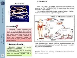 PLATELMINTOS
Esta é a tênia!

Ciências - 7.º Ano
4.º BIMESTRE / 2013

www.coladaweb.com

drugline.org

Esta é a TÊNIA: um verme conhecido como solitária que
pertence ao Filo PLATELMINTOS. Os platelmintos são vermes
achatados, como uma fita.
A TÊNIA vive no intestino humano, causando prejuízo à saúde.
Você sabe como podemos adquirir esse parasita?

7

Para evitar a TENÍASE devemos comer
carne de boi ou de porco bem cozidas,
pois a alta temperatura mata os cisticercos
que possam estar presentes na carne
desses animais. Quando comemos a
carne
com
cisticercos,
esses
se
desenvolvem em nosso intestino na forma
adulta do verme.

Recapitulando...
Complete, utilizando os termos
cisticerco ou verme adulto:
Na musculatura do boi ou do porco,
podemos encontrar o ______________ da
tênia. No intestino humano vive o
_____________________.

Então estamos com a doença TENÍASE. As tênias também são
chamadas de solitárias porque, na maioria dos casos, o portador
traz apenas um verme adulto.

Glossário: cisticerco- larva da tênia (é uma das fases de desenvolvimento da
tênia antes da forma adulta).

 