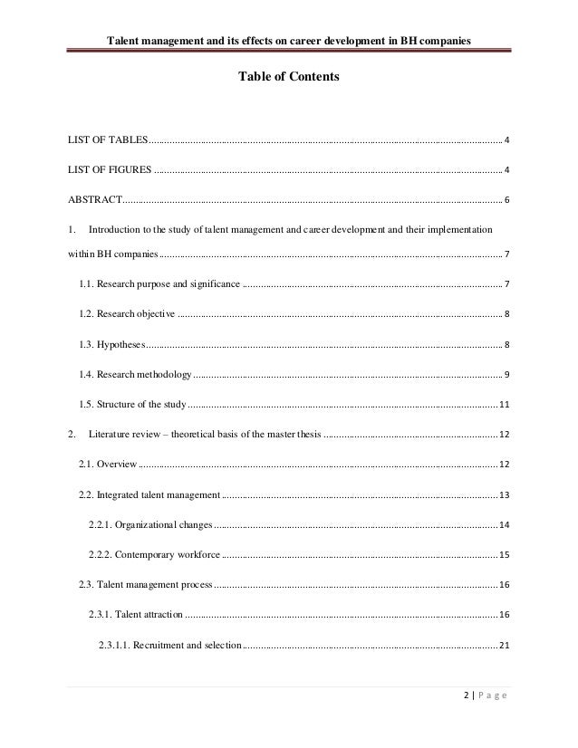 Master thesis mentor