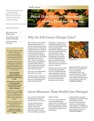 Plant Health Care Newsletter:
Omni Tree Service, Inc.
This is the time of year when we
enthusiastically grab for our
favorite sweaters that have been
hung up and inactive during the
long days of summer. The same
sweaters that are now destined
to catch the smell of log fire
smoke and the ones that keep
away the bite of the much colder
winds blowing in from the
north. These are the days we
take our long weekend hikes in
our Maple, Beech, Oak and
Hickory forests that are ablaze
with a palette of red, purple,
yellow and orange hues.
Have you ever wondered where
these colors come from?
It starts, of course, with leaves.
One of the primary functions of
leaves is to manufacture food,
with each individual leaf
operating as a “solar panel” to
enable photosynthesis. Leaves
contain cells (chloroplasts) that
contain green pigments
(chlorophyll). Sunlight provides
the energy needed to allow the
cells to transform carbon
dioxide and water into food
(carbohydrates) and oxygen.
The food is then allocated to
power several key functions
within the tree, or is stored as
starch in the leaves, branches or
roots for use later on.
With the onset of Autumn with
its shorter days (decreasing
amount of available light) and
cooler temperatures, the trees
start to shut off the production
of chlorophyll to the leaves. As
the amount of chlorophyll
decreases, other accessory
pigments that have always been
there become unmasked and
show up, usually the
xanthophylls (yellow) and
carotenoids (yellow, orange or
red). You can see this in trees
such as White Ash, Birch, Honey
Locust, Kentucky Coffee Tree,
(continued on page 3)
Sassafras tree
Why Do Fall Leaves Change Color?
Jason is the new Plant Health
Care Manager/Consulting
Arborist at Omni Tree Service.
A native of Bournemouth,
England and an extensive
traveler, Jason's first
professional experience with
plants occurred over several
years on a kibbutz (agricultural
project) in Israel.
In the U.S., Jason worked his
way up from landscaping
projects, where his passion and
dedication earned him tutelage
from Vaughn Banting, one of the
foremost bonsai masters in the
United States.
As the greenhouse manager/
horticultural coordinator for Sea
World Orlando, visitors
routinely commented on the
luxurious, unusual hanging
basket displays he designed and
instructed his crew to create. So
much so that he was sent to
(continued on page 2)
Jason Sharman, Plant Health Care Manager
Fall 2012
Omni Tree Service, Inc.
55 Old State Rd.
Ellisville, MO 63021
omnitree@aol.com
(636) 391-9944
Why Do Fall Leaves
Change Color?
1
Jason Sharman, Plant
Health Care Manager
1
Should We Fertilize
Our Trees?
2
Inside this issue:
The Plant Health Care (PHC)
division of Omni Tree
Service is responsible for
tree and shrub fertilization
and insect/disease control
for your shrubs and trees.
A Certified Arborist designs
a PHC program specially for
the individual needs of the
landscape that includes cost-
effective solutions for each
site and client.
These scientific,
research-based
techniques help private
and commercial owners
avoid:
The expense of removal
and replacement
Loss of property value
Exposure to risk of
property damage
Urban stress is unavoidable,
but can be mitigated. KEEP
your tree looking good and
preserve your investment.
PHC is cheaper than being
reactive.
At Omni Tree Care Service
we are committed to your
satisfaction and we
unconditionally guarantee it!
Call for your Plant
Health Care evaluation
today.
 
