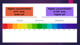 Higher concentration
of H+ ions,
lower pH
Higher concentration
of OH- ions,
higher pH
 