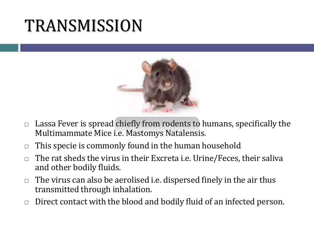 UNDERSTANDING LASSA FEVER