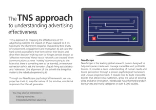 Chinese_New_Year_advertising_effectiveness