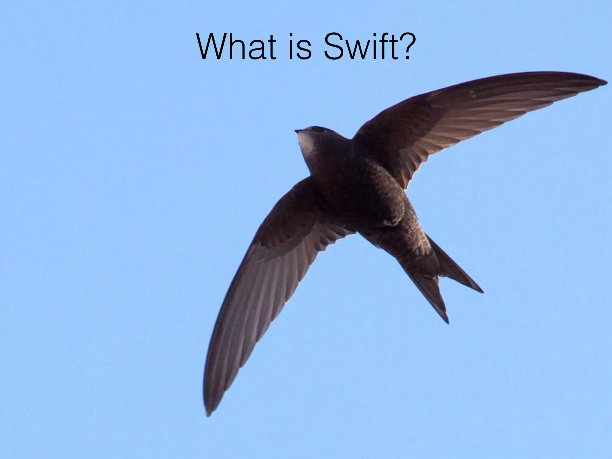 What is Swift? 