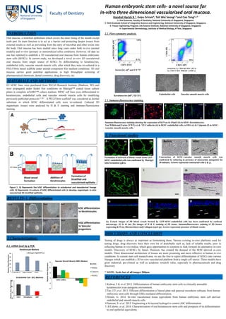 -5
5
15
25
CD31 VECadherin vWF
RelativeGeneExpression
Endothelial Cell (EC) Markers
Human embryonic stem cells- a novel source for
in-vitro three dimensional vascularized oral mucosa.
Handral Harish K 1, Gopu Sriram4, Toh Wei Seong1,3 and Cao Tong1,2,3
1- Oral Sciences, Faculty of Dentistry, National University of Singapore, Singapore.
2- NUS Graduate School of Integrative Science and Engineering, National University of Singapore, Singapore.
3- Tissue Engineering Program, Life Science Institute, National University of Singapore, Singapore.
4- Experimental Dermatology, Institute of Medical Biology, A*Star, Singapore
Oral mucosa, a stratified epithelium which covers the inner lining of the mouth except
teeth part. Its main function is to act as a barrier and protecting deeper tissues from
external insults as well as preventing from the entry of microbial and other toxins into
the body. Oral mucosa has been studied since long years under both in-vivo (animal
models) and in-vitro (primary or immortalized cells) conditions. However, till date no
one has reported to establish a 3D vascularized oral mucosa from human embryonic
stem cells (hESCs). In current study, we developed a novel in-vitro 3D vascularized
oral mucosa from single source of hESCs by differentiating to keratinocytes,
endothelial cells, vascular smooth muscle cells, after which they were tri-cultured in a
PEG-Fibrin based scaffold under animal-component free medium conditions. 3D oral
mucosa carries great potential applications in high throughput screening of
pharmaceutical chemicals, dental cosmetics, drug discovery, etc.
INTRODUCTION
H1 hESC lines were purchased from WiCell Research Institute (Madison, WI) and
were propagated under feeder free conditions on Matrigel™ coated tissue culture
plates in complete mTeSR1™ culture medium. HESC cell lines were differentiated to
keratinocytes, endothelial cells and vascular smooth muscle cells by modifying
previously published protocols1,2 &3 . A PEG-Fibrin scaffold4 was considered as dermal
substitute in which hESC differentiated cells were tri-cultured. Cultured 3D
organotypic tissues were analysed by H & E staining and immuno-fluorescence
staining.
MATERIALS AND METHODS
Mesoderm
Ectoderm
A
Keratinocytes
Vascular smooth muscle cells
Endothelial cells
Blood vessel
formation
Addition of
Keratinocytes
Formation of
Stratified and
vascularized epithelia
B
Figure 1. A) Represents the hESC differentiation to ectodermal and mesodermal lineage
cells. B) Represents tri-culture of hESC differentiated cells to develop organotypic in-vitro
vascularized 3D stratified epithelia.
RESULTS-1. Differentiation
Day0 Day2 Day5Day4
Day0 Day3 Day9Day6
hESC differentiation
to Keratinocytes
hESCdifferentiation
to Vascular
progenitors
0
10
20
30
40
50
Cytokeratin-14 α6Integrin ΔNp63
RelativeGeneExpression
Keratinocyte Markers
α6Integrin Hgh/CD71Lw
2.Characterization:
2.1. mRNA level by q-PCR.
-10
-5
0
5
10
15
hESC-vSMCs hESC-EC
RelativeGeneExpression
Vascular Smooth Muscle (SMC) Markers
αSMA
SM22α
Calponin
PDGFβ
Sorted for α6H and CD 71L
Keratinocytes (α6H / CD 71L)
α6INTEGRINAPC
CD71 FITC
Vascular smooth muscle cells
Sorted for 1). CD34+&CD31+ (ECs)
2). CD34- CD31- PDGFb+ (vSMCs)
Endothelial cells
CD34-PE
CD31-APC
2.2. Flow-cytometry analysis.
ΔNP63K19
a b
2.3. Immuno-fluorescence staining.
VE-CadherinVWF α-SMA
Immuno-fluorescence staining showing the expression of K19 (a) & ΔNp63 (b) in hESC-Keratinocytes;
Von Willebrand Factor (VWF) (c) & VE-Cadherin (d) in hESC-endothelial cells; α-SMA (e) & Calponin (f) in hESC-
vascular smooth muscle cells.
Formation of network of blood vessels from GFP-
hESC-endothelial cells was confirmed by Matrigel
tube formation (g&h).
4X
Contraction of hESC-vascular smooth muscle cells was
confirmed by culturing in presence of muscarinic antagonist for
30 minutes. Arrows represents contracted cells (i & j).
k l
Epidermis
Dermis
Blood
vessels
m
(k) Z-stack images of 3D blood vessels formed by GFP-hESC-endothelial cells has been confirmed by confocal
microscopy. (l) 4x & (m) 20x images of H & E staining of 3D tissue; Immunofluorescence staining of 3D tissues
expressing K19 (n), fibronectin(o) and Collagen-type4 (p). Arrows represents presence of blood vessels.
DISCUSSION AND CONCLUSION
Testing of drugs is always as important as formulating them. Various existing in-vitro platforms used for
testing drugs, drug discovery have their own list of drawbacks such as, lack of reliable results, poor in
reflecting human in-vivo milieu, which gave opportunities to scientists to look forward for alternative in-vitro
models. Discovery of hESCs by James Thomson, has created the demand of the hESC-derived in-vitro
models. Three dimensional architecture of tissues are more promising and more reflective to human in-vivo
conditions. In current stem cell research area, we are the first to report differentiation of hESCs into various
lineages which can establish a 3D in-vitro vascularized platform from a single cell source. These models have
great industrial, pre-clinical as well as academic research value, especially in pharmaceuticals and drug
discovery.
* NOTE- Scale bar of all images 200µm.
1.Kidwai, F.K et al. 2013. Differentiation of human embryonic stem cells to clinically amenable
keratinocytes in an autogenic environment.
2.Tan, J.Y et al. 2013. Efficient differentiation of lateral plate and paraxial mesoderm subtypes from human
embryonic stem cells through GSKi-mediated differentiation.
3.Sriram, G. 2014. In-vitro vascularised tissue equivalents from human embryonic stem cell derived
endothelial and smooth muscle cells.
4.Natesan, S. et al. 2012. Engineering a bi-layered hydrogel to control ASC differentiation.
5..B.Calenic. et al. 2010. Characterization of oral keratinocyte stem cells and prospects of its differentiation
to oral epithelial equivalents.
REFERENCES
hESCs
3D Culture media
n l
c
c e
g
Calponin
Cytokeratin-19 Alpha 6 Integrin ΔNP63
3. Functional studies
C d e f
10Xh
o p
AfterBefore i j
 