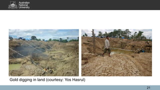 21
Gold digging in land (courtesy: Yos Hasrul)
 