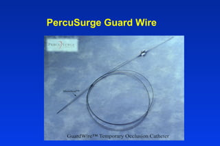 PercuSurge Guard Wire
 
