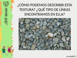Exploring Natural Textures and Visual Language in Art Education | PPTX