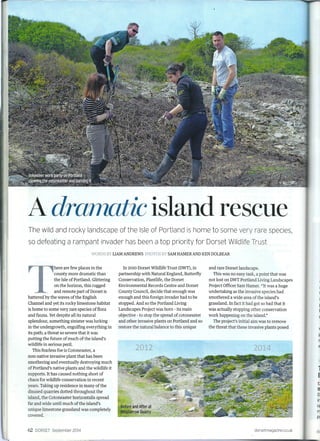 Dorset Mag Feature Part 1