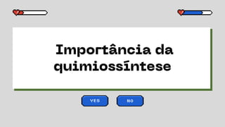 Importância da
quimiossíntese
YES NO
 