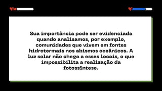 Sua importância pode ser evidenciada
quando analisamos, por exemplo,
comunidades que vivem em fontes
hidrotermais nos abismos oceânicos. A
luz solar não chega a esses locais, o que
impossibilita a realização da
fotossíntese.
 