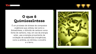 O que é
Quimiossíntese
É um processo de síntese de compostos
orgânicos que utiliza, tal como a
fotossíntese, o dióxido de carbono como
fonte de carbono, mas, em vez da energia
solar, usa a energia proveniente da
oxidação de substâncias inorgânicas,
como a amônia, os nitritos, o enxofre
e o ferro.
 