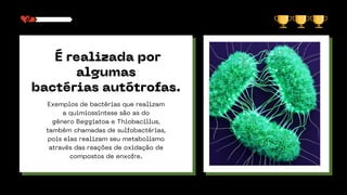 É realizada por
algumas
bactérias autótrofas.
Exemplos de bactérias que realizam
a quimiossíntese são as do
gênero Beggiatoa e Thiobacillus,
também chamadas de sulfobactérias,
pois elas realizam seu metabolismo
através das reações de oxidação de
compostos de enxofre.
 