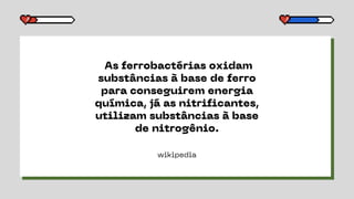 wikipedia
As ferrobactérias oxidam
substâncias à base de ferro
para conseguirem energia
química, já as nitrificantes,
utilizam substâncias à base
de nitrogênio.
 