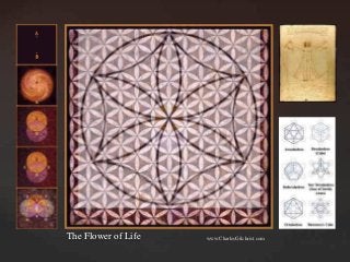 The Flower of Life www.CharlesGilchrist.com
 