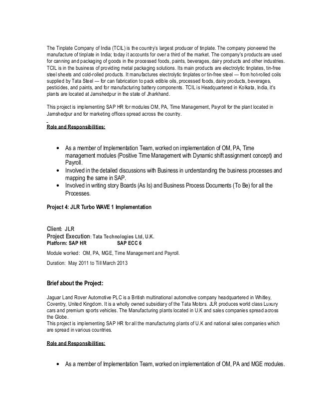 Essay experts resume