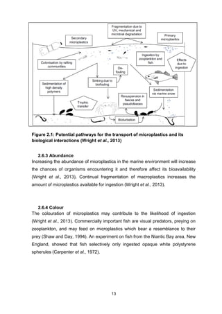 13
Figure 2.1: Potential pathways for the transport of microplastics and its
biological interactions (Wright et al., 2013)
2.6.3 Abundance
Increasing the abundance of microplastics in the marine environment will increase
the chances of organisms encountering it and therefore affect its bioavailability
(Wright et al., 2013). Continual fragmentation of macroplastics increases the
amount of microplastics available for ingestion (Wright et al., 2013).
2.6.4 Colour
The colouration of microplastics may contribute to the likelihood of ingestion
(Wright et al., 2013). Commercially important fish are visual predators, preying on
zooplankton, and may feed on microplastics which bear a resemblance to their
prey (Shaw and Day, 1994). An experiment on fish from the Niantic Bay area, New
England, showed that fish selectively only ingested opaque white polystyrene
spherules (Carpenter et al., 1972).
 