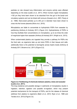15
particles on rats showed lung inflammation and enzyme activity were affected
depending on the dose (Leslie et al., 2011). When humans ingest microplastics
<150 µm they have been shown to be absorbed from the gut to the lymph and
circulatory systems and can be linked with tumours (Hussain et al., 2001; Pauly et
al., 1998). Nano-sized particles up to 240 µm in diameter have been shown to
cross into the human placenta (Wick et al., 2010).
Microplastics are liable to concentrate to hydrophobic POPs from seawater by
partitioning (Anthony & Andrady 2011) (Figure 2.2). Hydrophobicity of POPs is
how they facilitate their concentrations on microplastics, up to six times the order
of magnitude higher than seawater (Anthony & Andrady 2011; Wright et al., 2013).
When contaminated plastics are ingested they provide a pathway for POPs into
the food web, as organisms take up and store POPs in their tissues and cells;
additionally there is the potential to biomagnify across trophic levels (Anthony &
Andrady 2011; Browne et al., 2011) (Figure 2.2).
Figure 2.2: Partitioning of chemicals between plastics, biota and seawater
(Leslie et al., 2011).
The long residence and possible storage in sediments of microplastics results in
ingestion, retention, egestion and possible re-ingestion, which may present
potential mechanisms for the transport of POPs, and for the release of chemical
additives from plastics to organisms (Bakir et al., 2014; Ryan et al., 1988 and
Tanaka et al., 2013) (Figure 2.3).
 