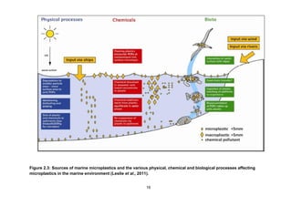 16
Figure 2.3: Sources of marine microplastics and the various physical, chemical and biological processes affecting
microplastics in the marine environment (Leslie et al., 2011).
 