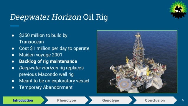 deepwater horizon case slides