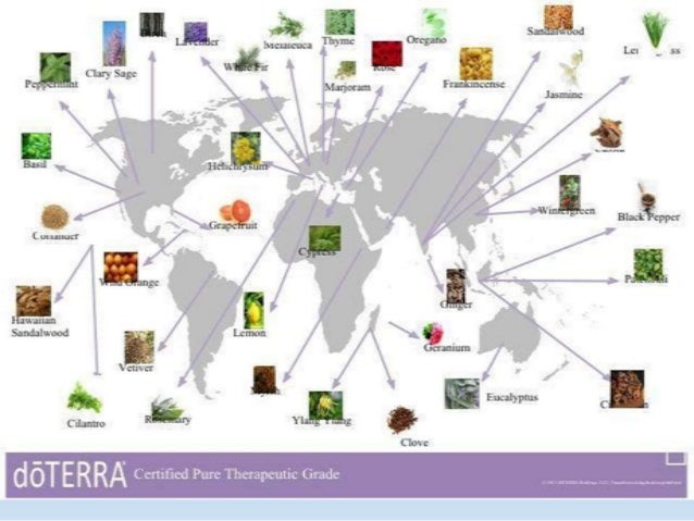 doTERRA Essential Oils 101 Class - revised 2-8-2016