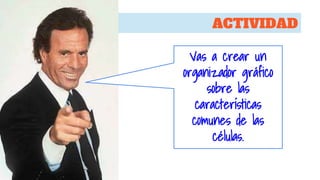 ACTIVIDAD
Vas a crear un
organizador gráfico
sobre las
características
comunes de las
células.