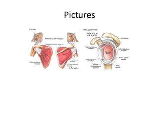 Rotator Cuff Evaluation | PPTX