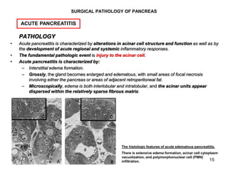 15
SURGICAL PATHOLOGY OF PANCREAS
PATHOLOGY
• Acute pancreatitis is characterized by alterations in acinar cell structure ...