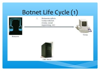 Botnet Life Cycle (1)
 