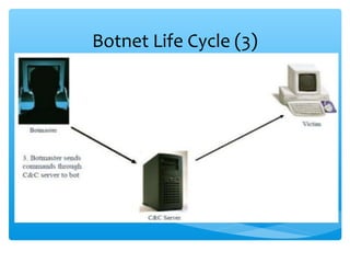 Botnet Life Cycle (3)
 