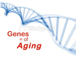 = of
Aging
Genes
 