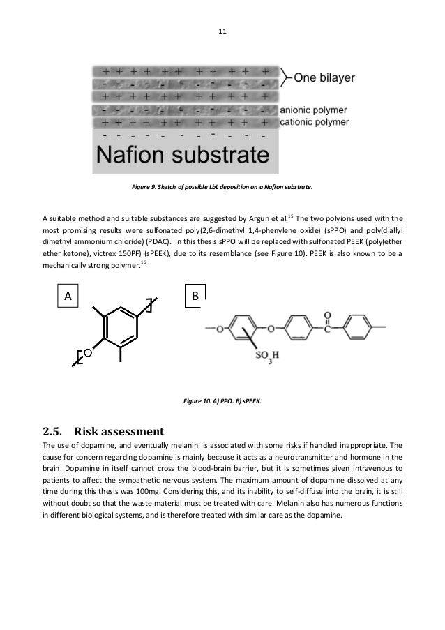 Dissertation vs thesis image